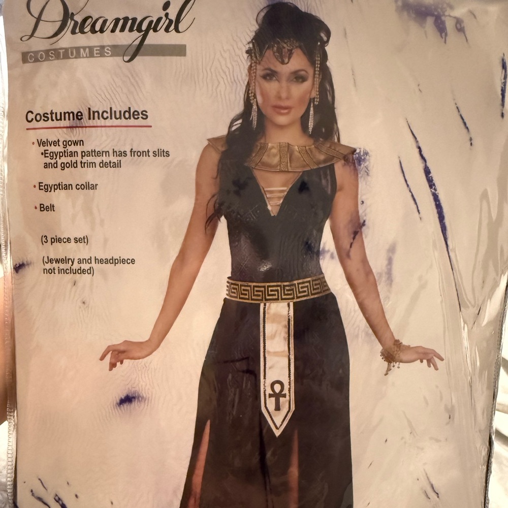Egyptian Goddess womens  Costume - Black and Gold